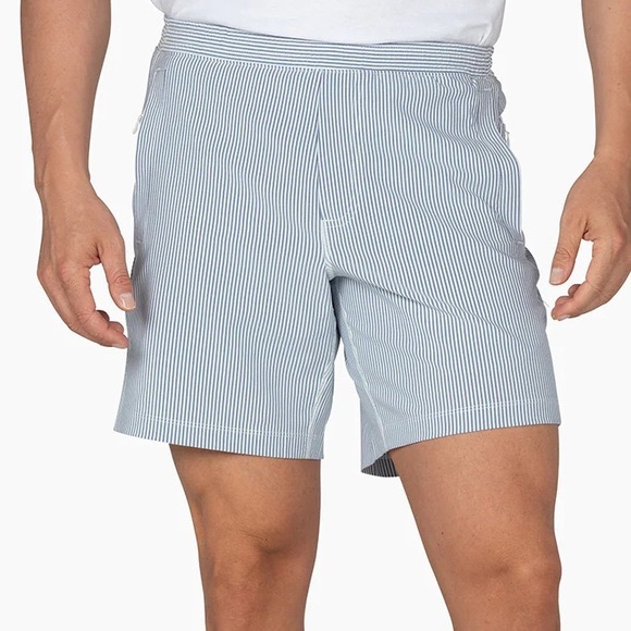 Birddogs Shorts - Blue and White Stripes Flying Wasps - Picture 6 of 7